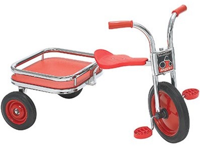 Silver Rider Carry All Trike