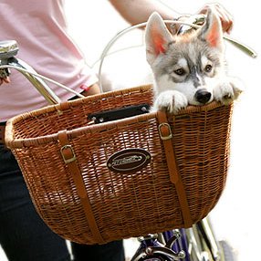 Pet Cruiser Wicker Cruiser Pet Bicycle Basket